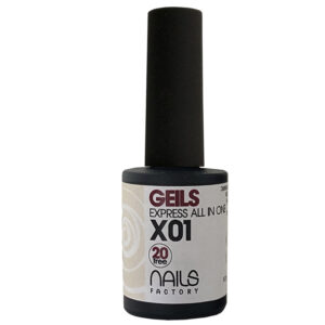 EXPRESS ALL IN ONE GEILS X01 10 ml.