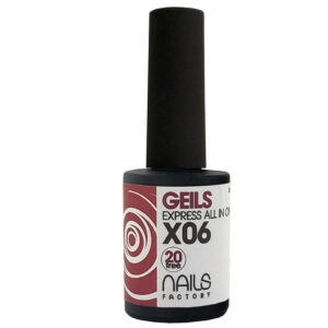 EXPRESS ALL IN ONE GEILS X06 10 ml.