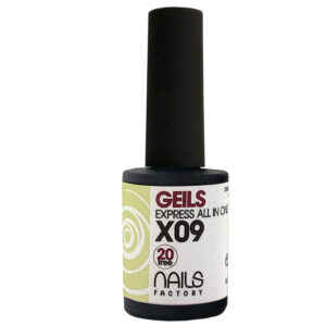 EXPRESS ALL IN ONE GEILS X09 10 ml.